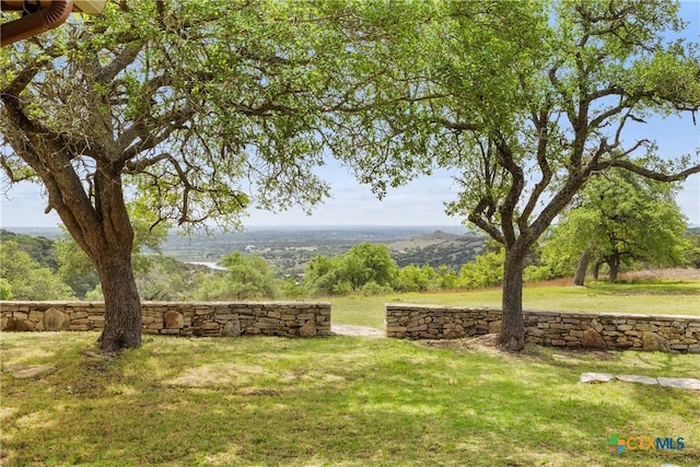 view of community featuring a yard