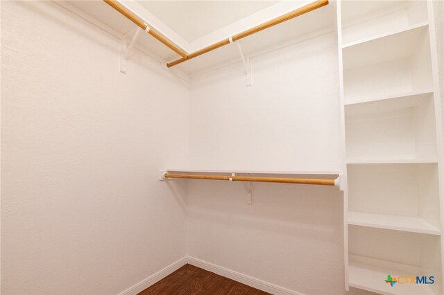 walk in closet with hardwood / wood-style floors