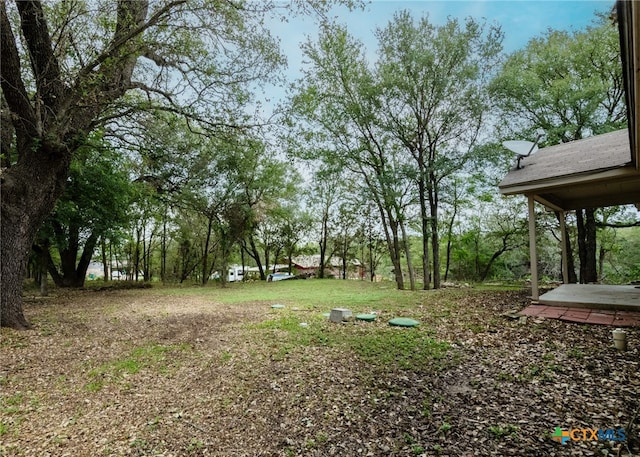 view of yard featuring a patio area