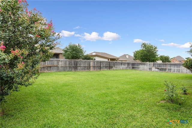2240 Yturria Dr, Belton, TX 76513 - photo 28