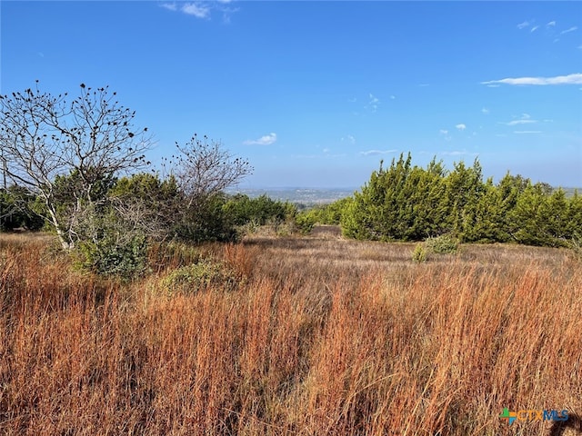 LOT7 W Flying Owl Dr, Johnson City TX, 78636 land for sale