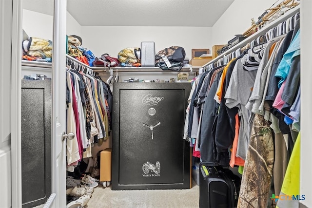 spacious closet featuring carpet