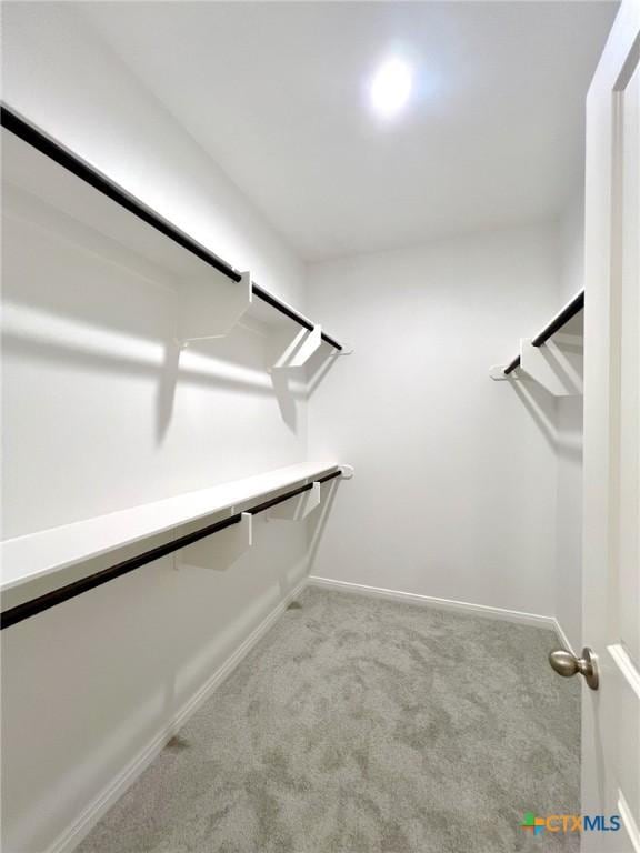 spacious closet with light carpet