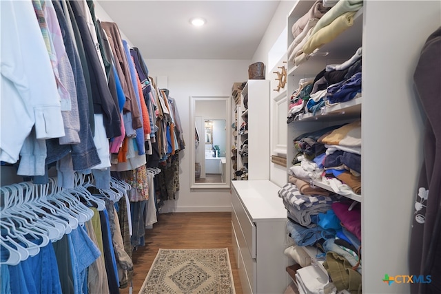 spacious closet with dark hardwood / wood-style flooring