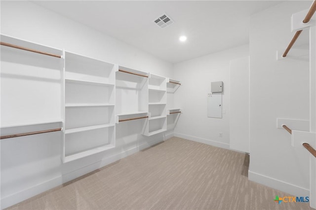 spacious closet with light carpet