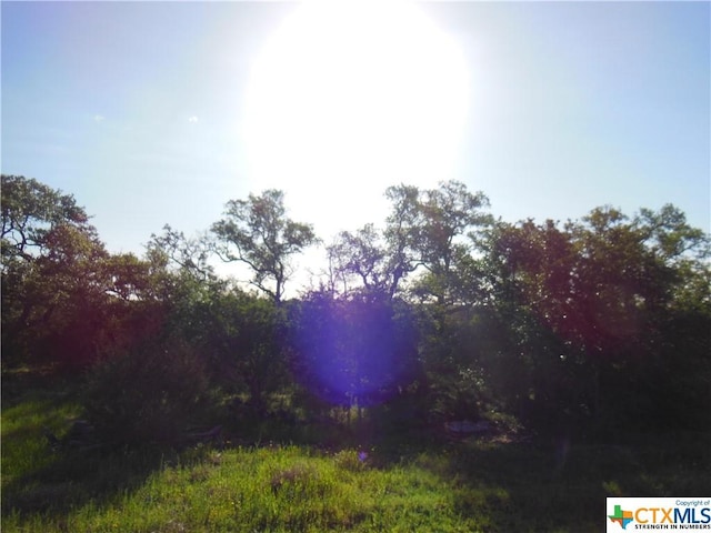 5732 Copper Frst, New Braunfels, TX 78132