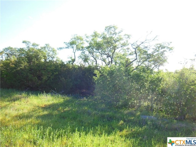 5732 Copper Frst, New Braunfels, TX 78132