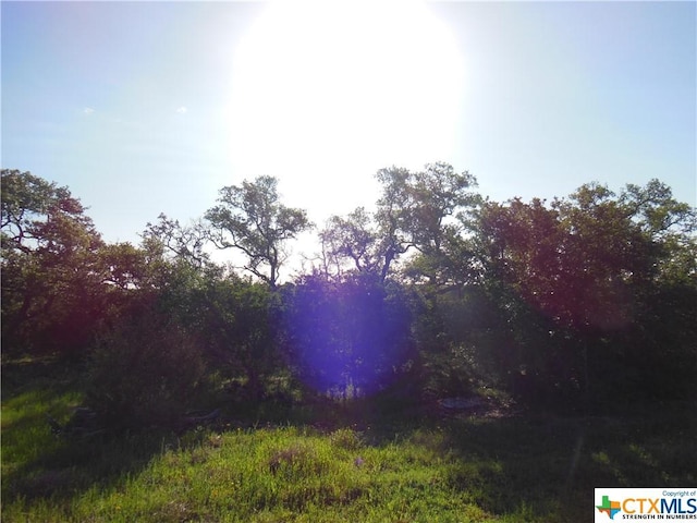 5732 Copper Frst, New Braunfels, TX 78132