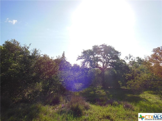 5732 Copper Frst, New Braunfels, TX 78132