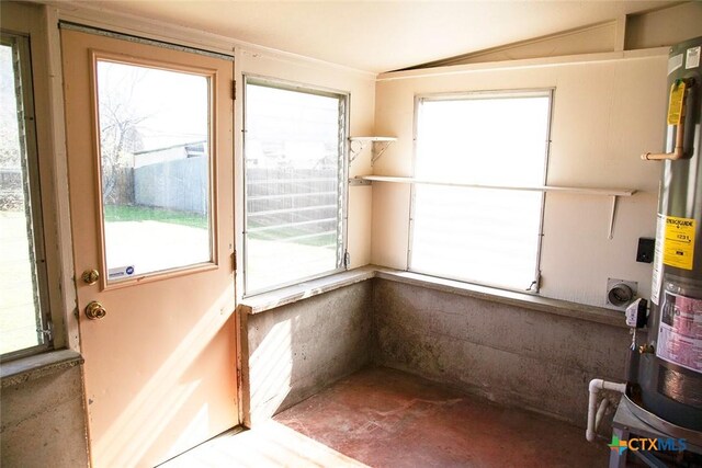 entryway featuring plenty of natural light and water heater