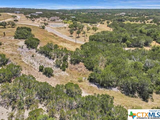 Listing photo 3 for LOT26 Paintbrush Ln, Burnet TX 78611