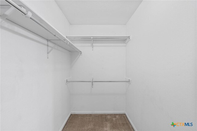 308 Constellation Dr, Killeen, TX 76542 - spacious closet with carpet floors