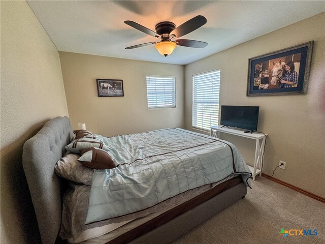 3831 Hopkinsville Rd, Cuero, TX 77954 - photo 22