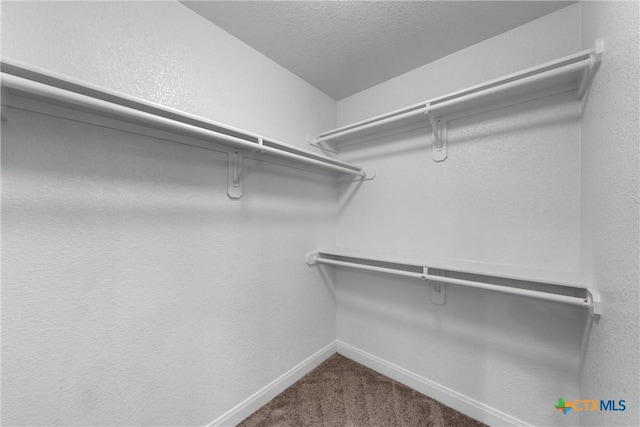 3305 Crystal Ann Dr, Temple, TX 76502 - spacious closet with dark carpet