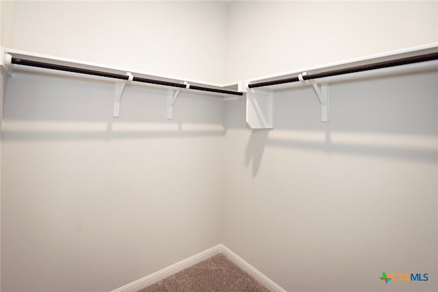 240 Alcatraz Loop, Jarrell, TX 76537 - spacious closet with carpet