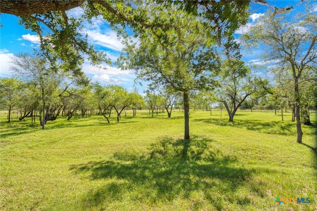 155 Woodrow Center Rd, Kingsbury, TX 78638 - view of green lawn