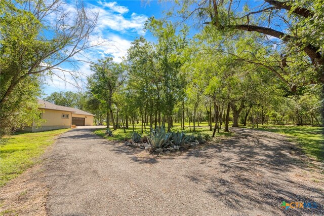 155 Woodrow Center Rd, Kingsbury, TX 78638 - view of asphalt driveway