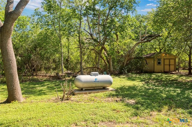 155 Woodrow Center Rd, Kingsbury, TX 78638 - view of grassy yard with a storage shed