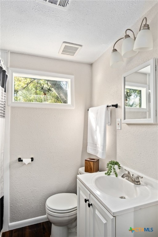 bathroom with vanity, a healthy amount of sunlight, and a textured ceiling