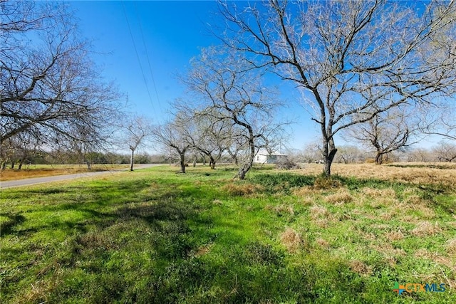 view of yard featuring a rural view