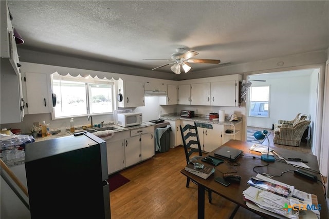 kitchen with white cabinets, a healthy amount of sunlight, sink, and light wood-type flooring