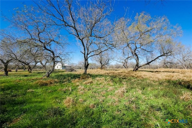 view of landscape with a rural view