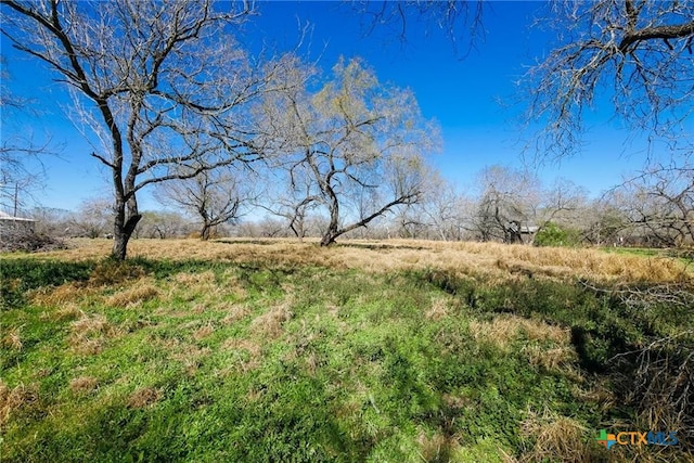 view of nature featuring a rural view