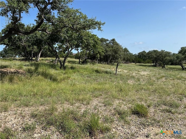 1145 Brads Flight, Canyon Lake, TX 78133 - photo 24