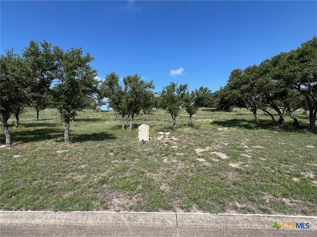 1145 Brads Flight, Canyon Lake, TX 78133 - photo 8