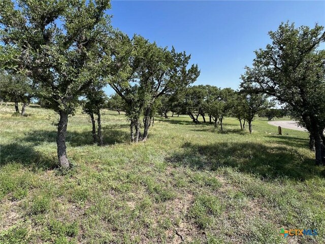 1145 Brads Flight, Canyon Lake, TX 78133 - photo 11