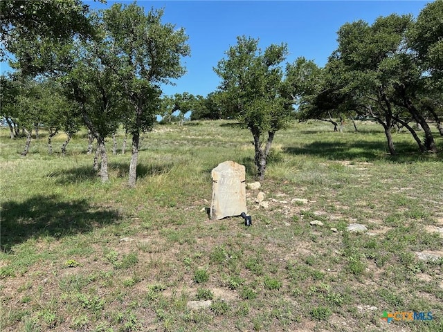 1145 Brads Flight, Canyon Lake, TX 78133 - photo 4