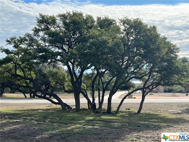 1145 Brads Flight, Canyon Lake, TX 78133 - photo 10