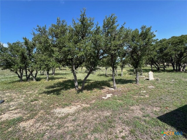 1145 Brads Flight, Canyon Lake, TX 78133 - photo 13