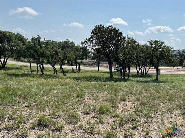 1145 Brads Flight, Canyon Lake, TX 78133 - photo 12