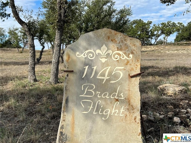 1145 Brads Flight, Canyon Lake, TX 78133 - photo 3