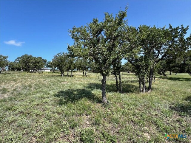 1145 Brads Flight, Canyon Lake, TX 78133 - photo 15