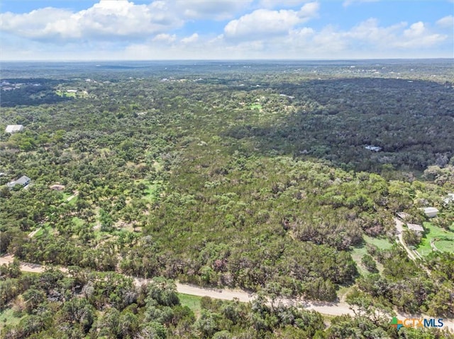 2453 S Rainbow Ranch Rd, Wimberley, TX 78676