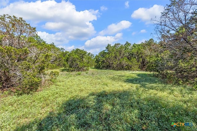 2453 S Rainbow Ranch Rd, Wimberley, TX 78676