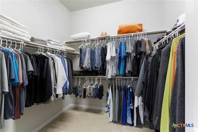 521 Kirkhill St, Hutto, TX 78634 - spacious closet featuring carpet