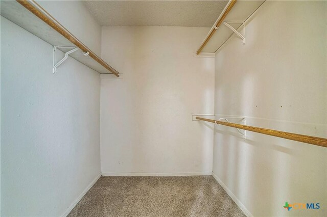 walk in closet with carpet flooring