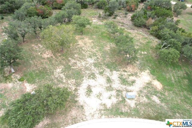 210 Dawna Len Dr, Burnet, TX 78611 - photo 6