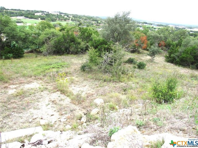 210 Dawna Len Dr, Burnet, TX 78611 - photo 10