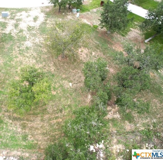 210 Dawna Len Dr, Burnet, TX 78611 - photo 9