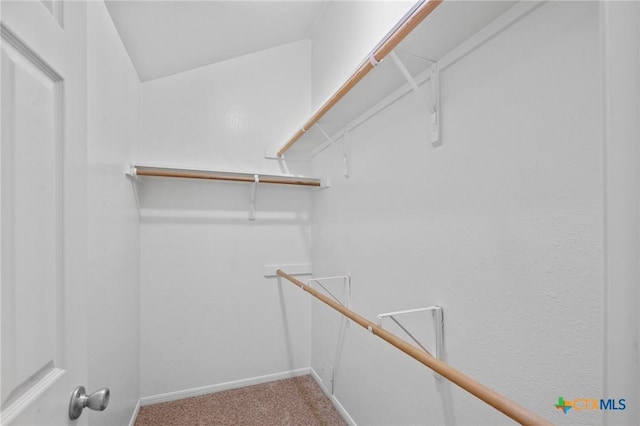 908 Pennsylvania Ave, Victoria, TX 77904 - walk in closet with carpet floors
