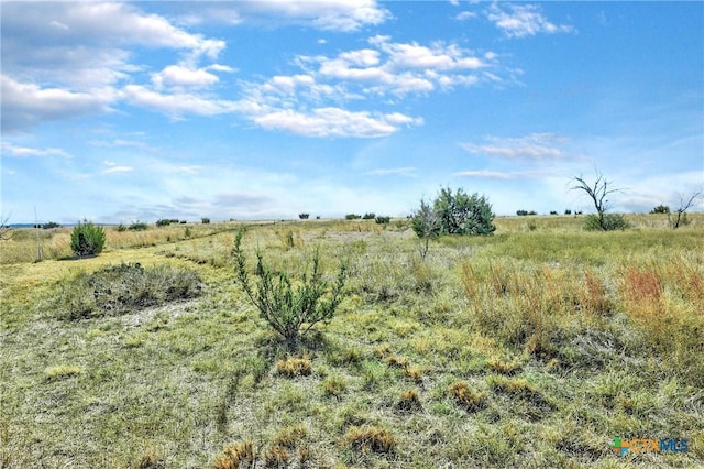 9902 County Road 2001, Lometa, TX 76853 - photo 6