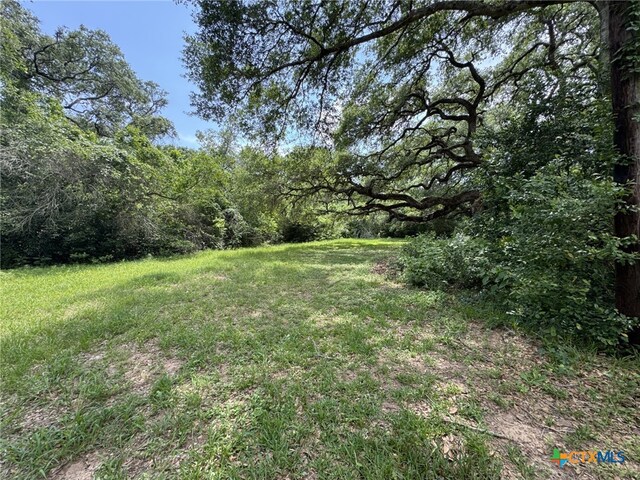 12392 Fm 1300th Rd, Louise, TX 77455 - photo 28
