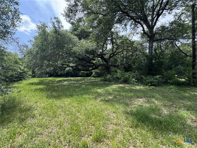 12392 Fm 1300th Rd, Louise, TX 77455 - photo 29