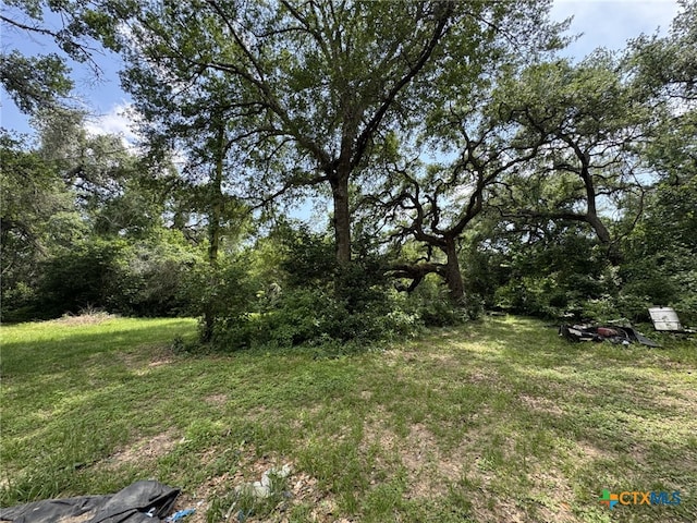 12392 Fm 1300th Rd, Louise, TX 77455 - photo 27