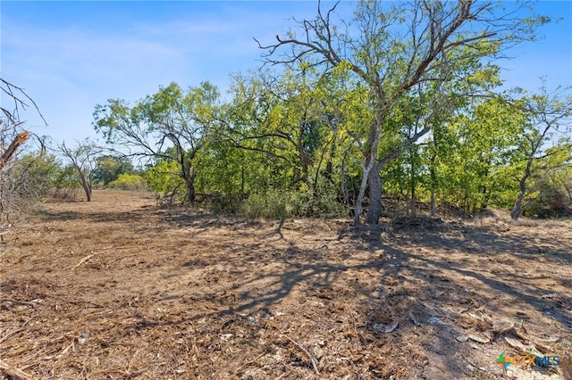 Listing photo 3 for Lot5 Tumbleweed Trail, Dale TX 78616