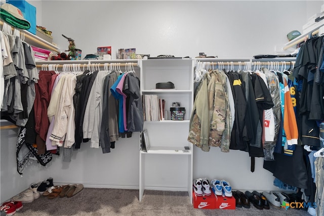 walk in closet with carpet floors